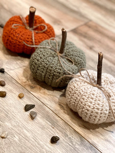 NEW PRODUCT: Pumpkins!